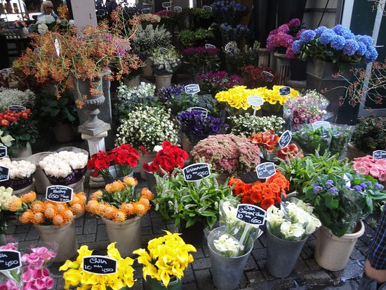 Marché aux fleurs Amsterdam