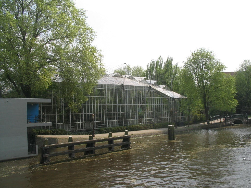 Hortus botanicus à Amsterdam