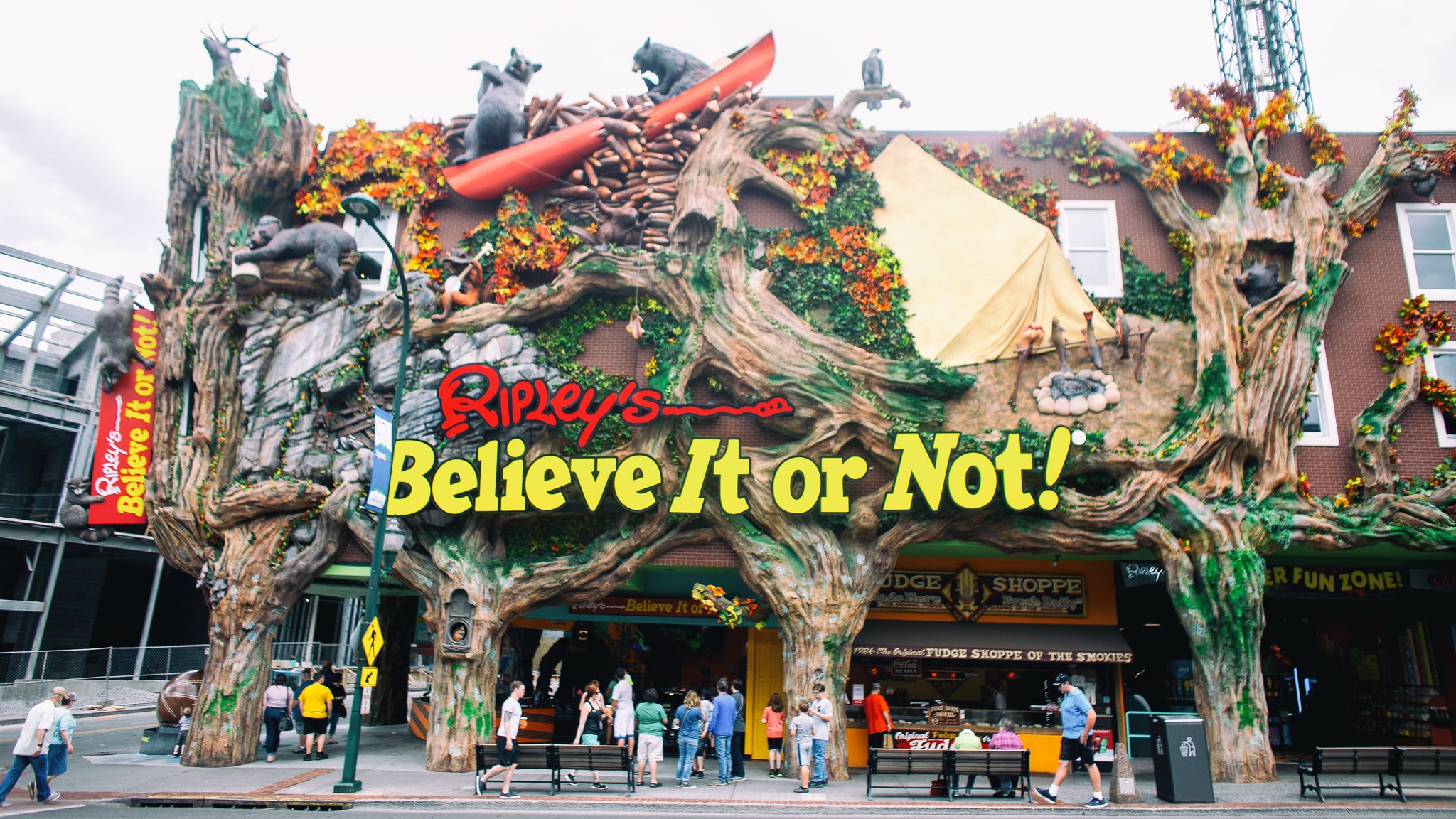 Ripley believe it or not: un lieu à voir